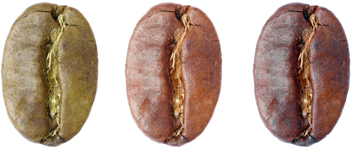 Choosing a Coffee That's Right for You