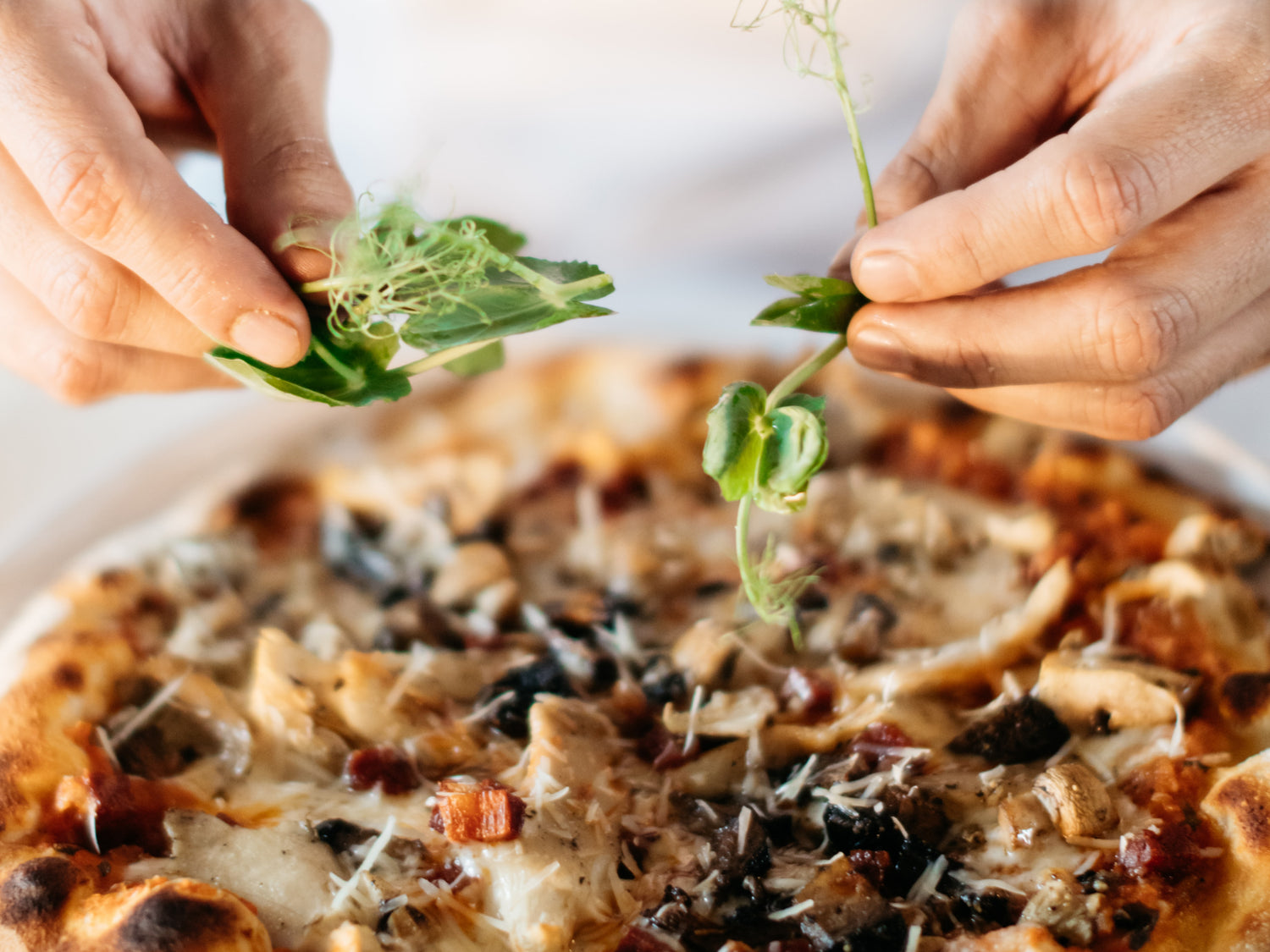 I Like Pizza More Than Coffee