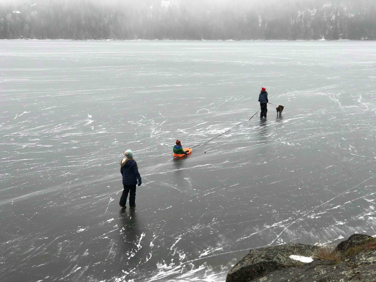 Cultivating Beauty Through Our Work