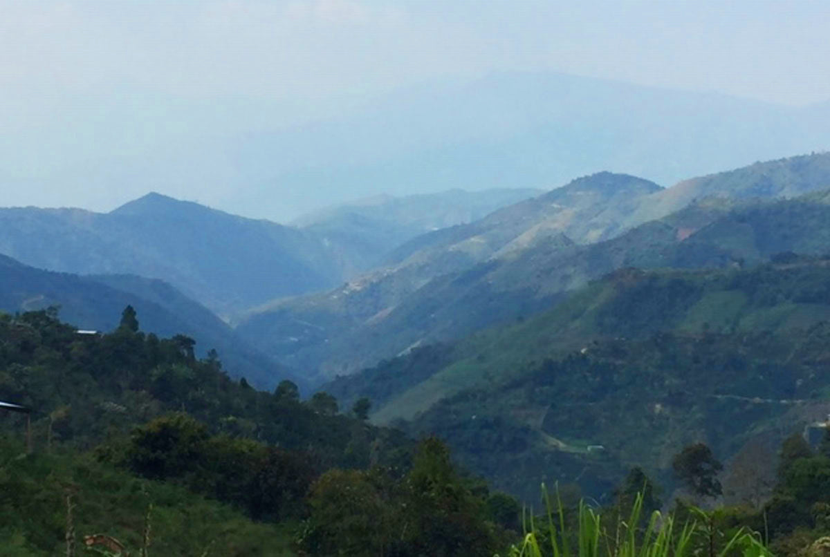 Why Fika Went to Lima, Peru