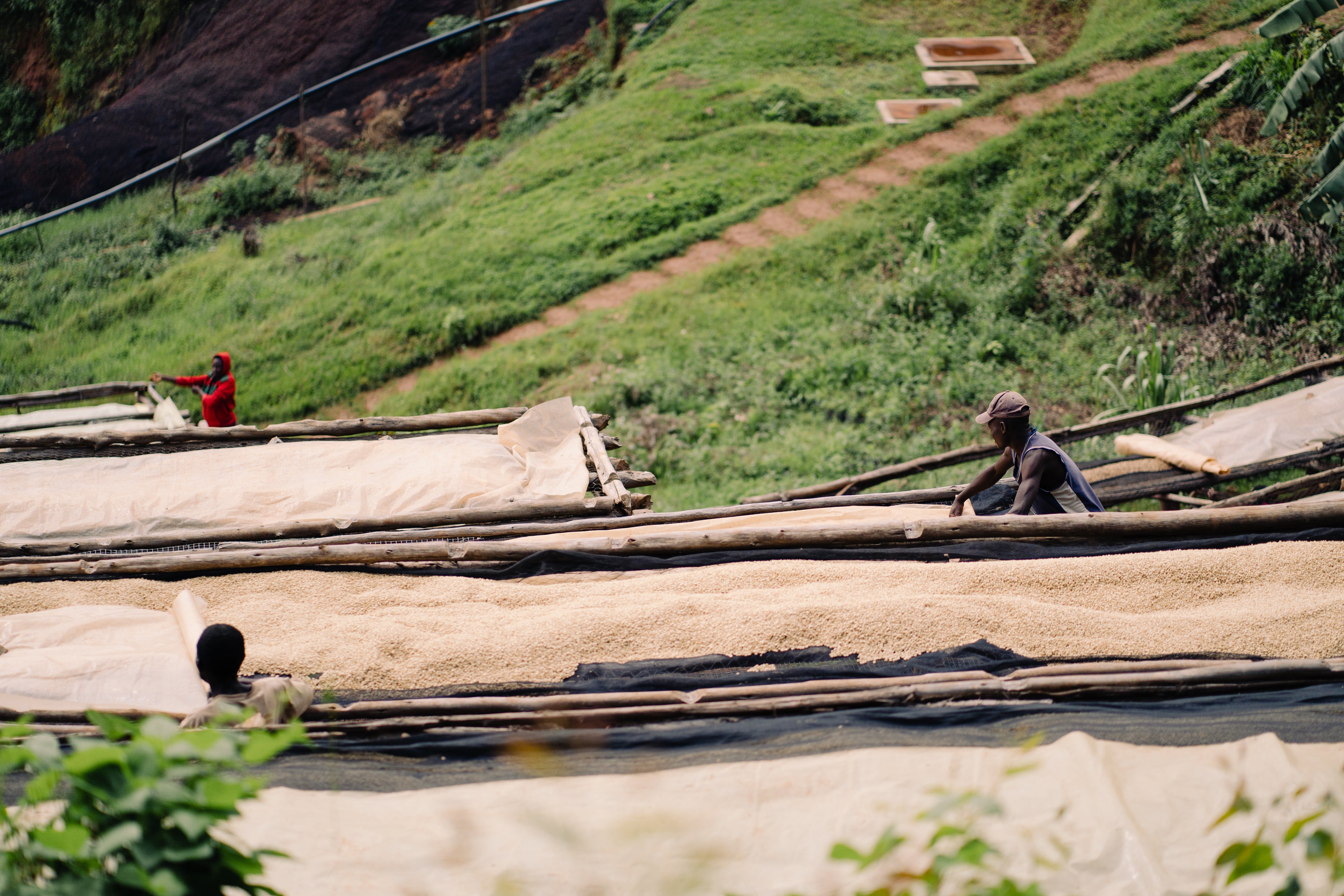 Burundi - Gaharo Hill