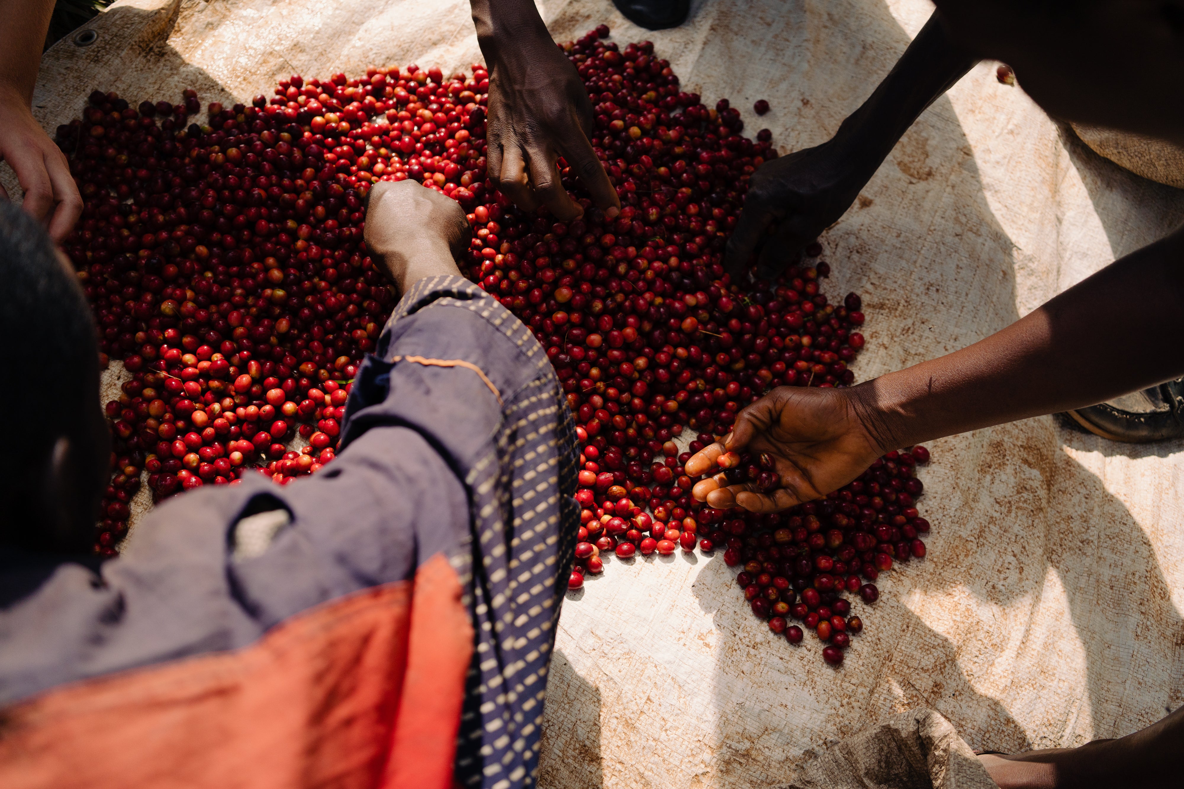 Burundi - Gaharo Hill