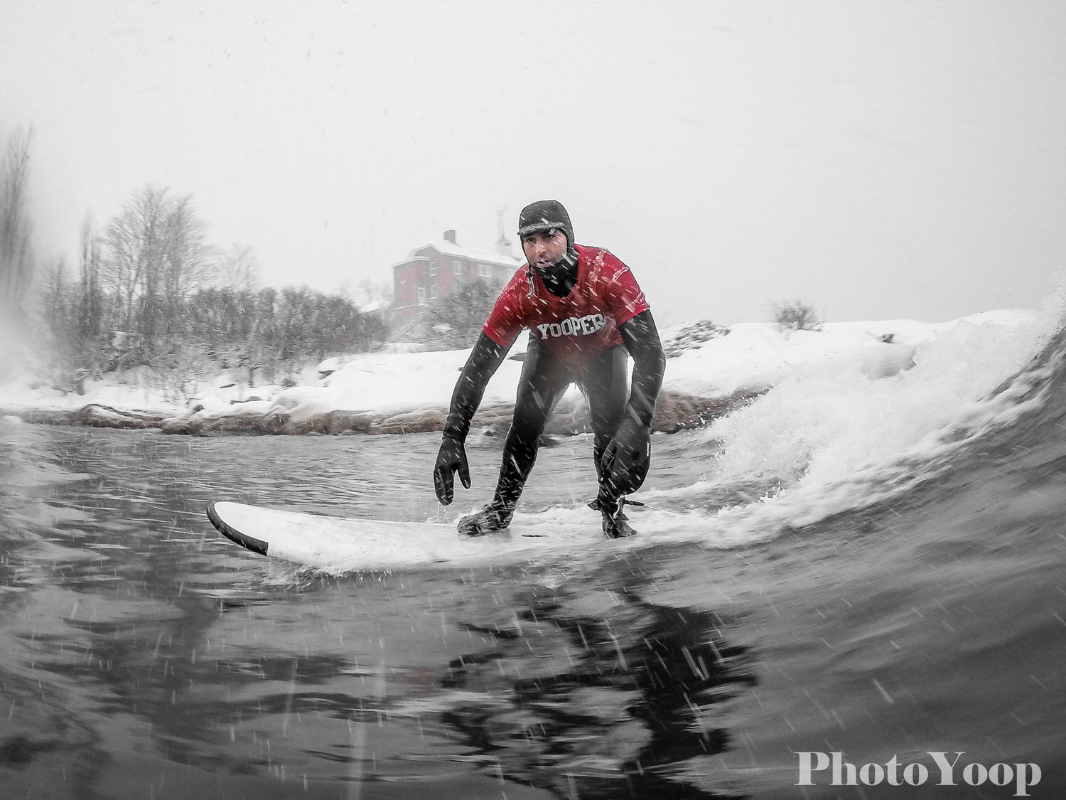 Surf's Up