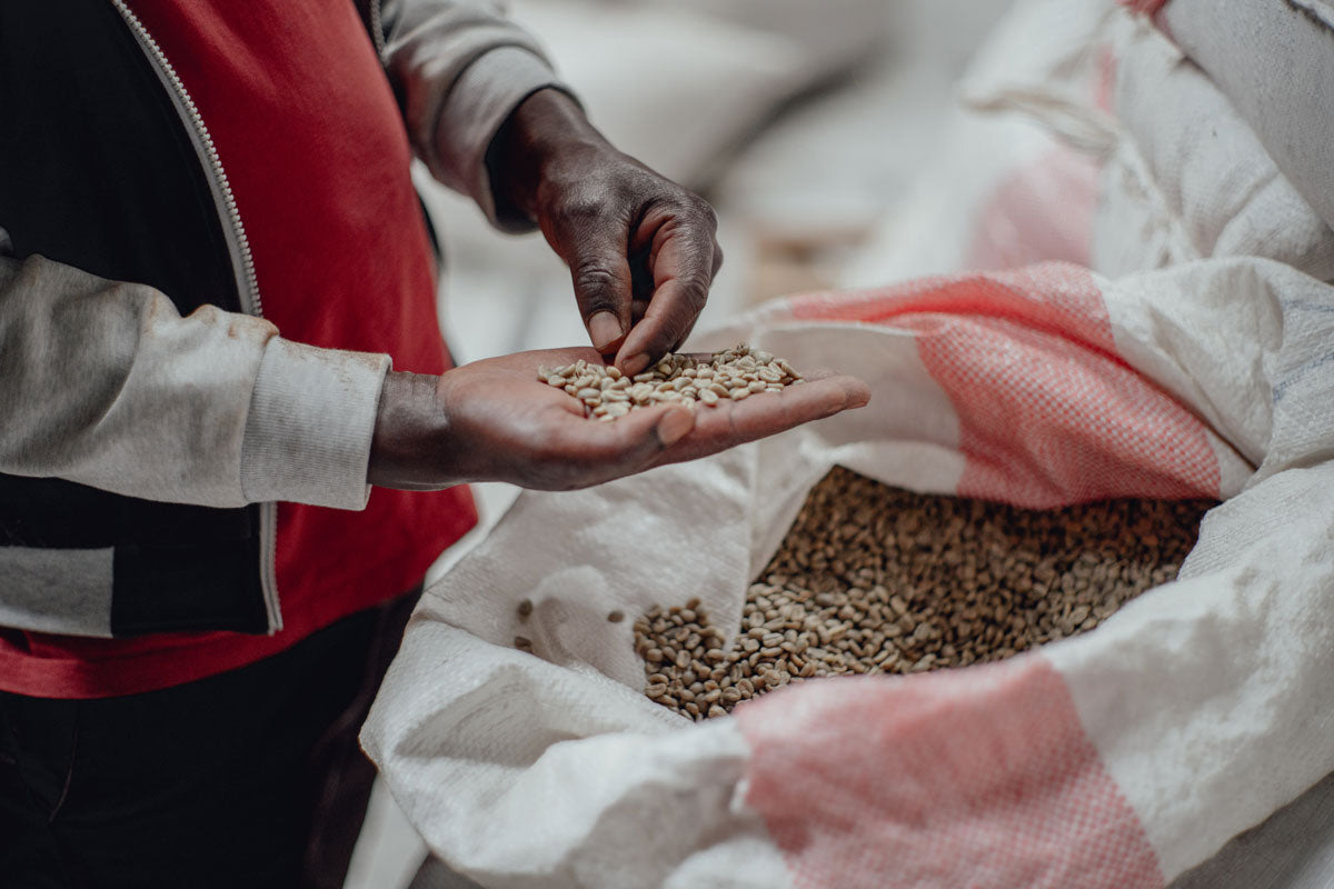 Introducing: Congo Coffee