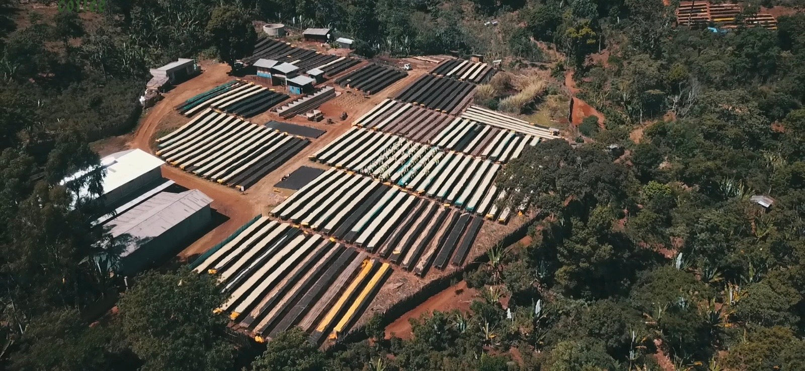 Ethiopia - Natural Wuri