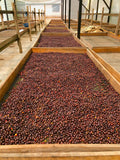 Guatemala - Anaerobic Process